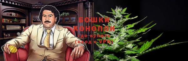 шишки Белокуриха