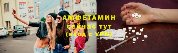 шишки Белокуриха
