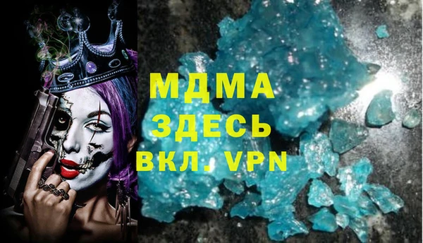 шишки Белокуриха