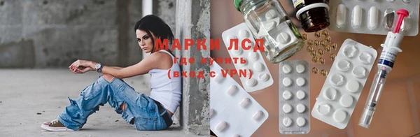 PSILOCYBIN Слюдянка
