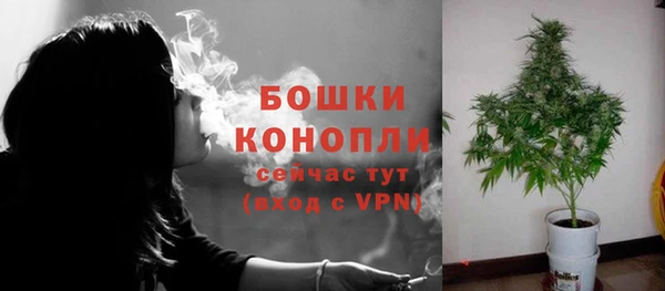 шишки Белокуриха