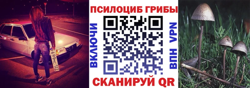 Галлюциногенные грибы Magic Shrooms  Горняк 