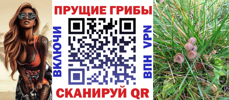 Галлюциногенные грибы Magic Shrooms Горняк