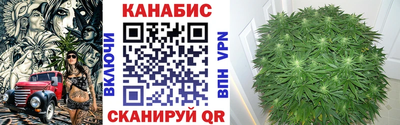 Шишки марихуана ГИДРОПОН Горняк